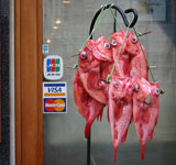 fisch-asien-china-community.jpg